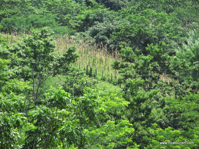 [IMG_1849%255B6%255D.jpg]