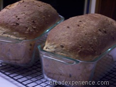 sprouted-barley-bread 031