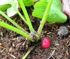 [clip_image001%255B3%255D.jpg]