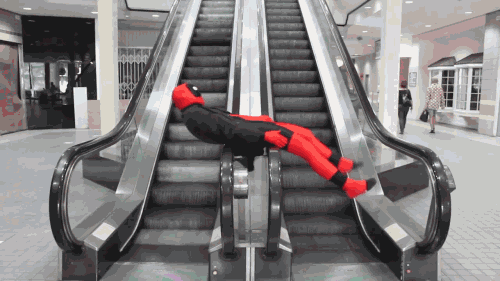 tumblr_mabxif0P721r41unfo1_500.gif