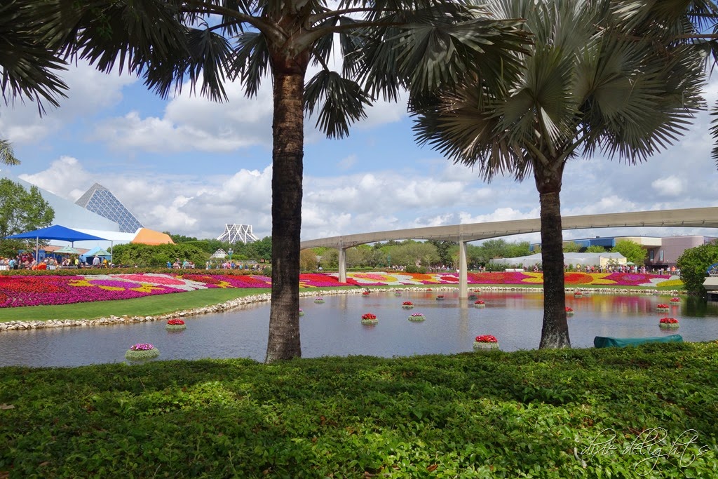 [DSC00785%255B3%255D.jpg]