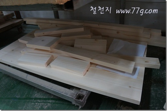 철천지DSC02832-20120608-140053