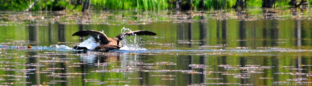 [DSC_0040%255B4%255D.jpg]