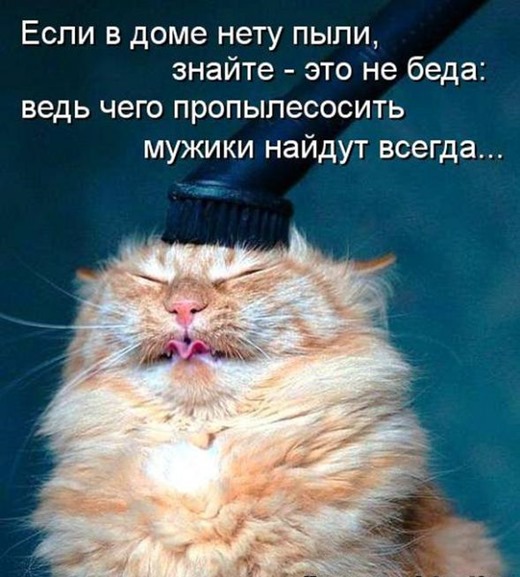 [49cb99266f0d515f57d5a0eb1c3_prev%255B4%255D.jpg]