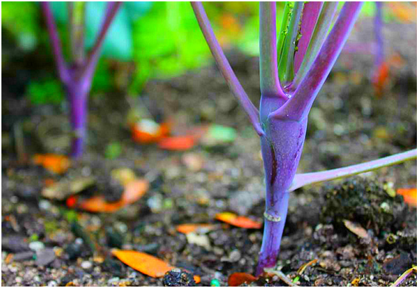 [clip_image007%255B4%255D.png]