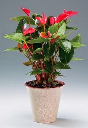 [clip_image001%255B3%255D.jpg]