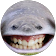 5plat 5plat