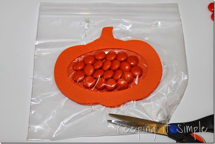 Easy Thanksgiving Candy Pouches (7)