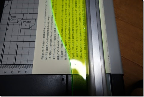 r-DSC04194 r-DSC04194