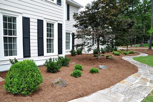 [July%25202013%2520178%2520copy%255B2%255D.jpg]