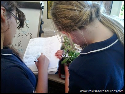 The Great Plant Experiment - Let students build experiments using the needs of a plant (air, soil, light, water) as the variables in a student designed experiment using the Scientific Method - Raki's Rad Resources - Making Observations