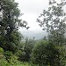 Hike around Finca Neblina del Bosque - La Rampla, Nicaragua esteli-jinotega-miraflor_063.jpg