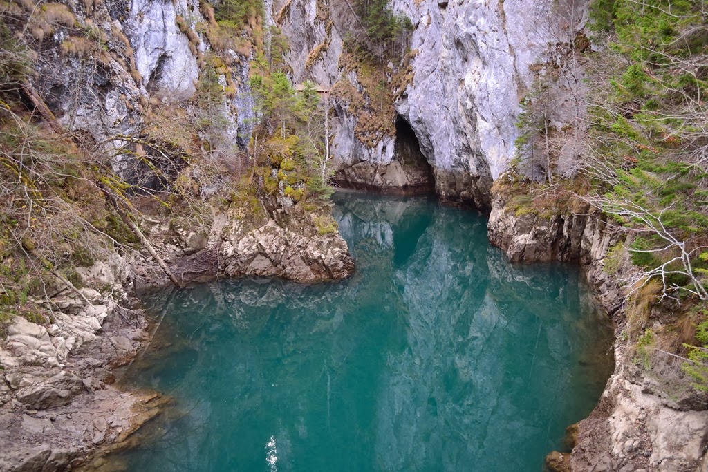 [DSC_07752.jpg]