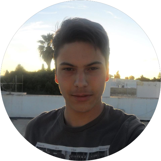 Slim Hentati