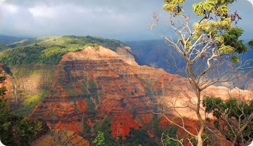 hawaii_valle de waimea hawaii_valle de waimea