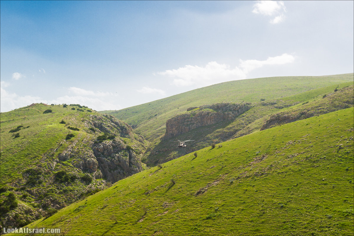 LookAtIsrael.com - Ручей (нахаль) Талкид | Nahal Talkid | נחל תלקיד