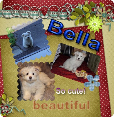 Bella-001