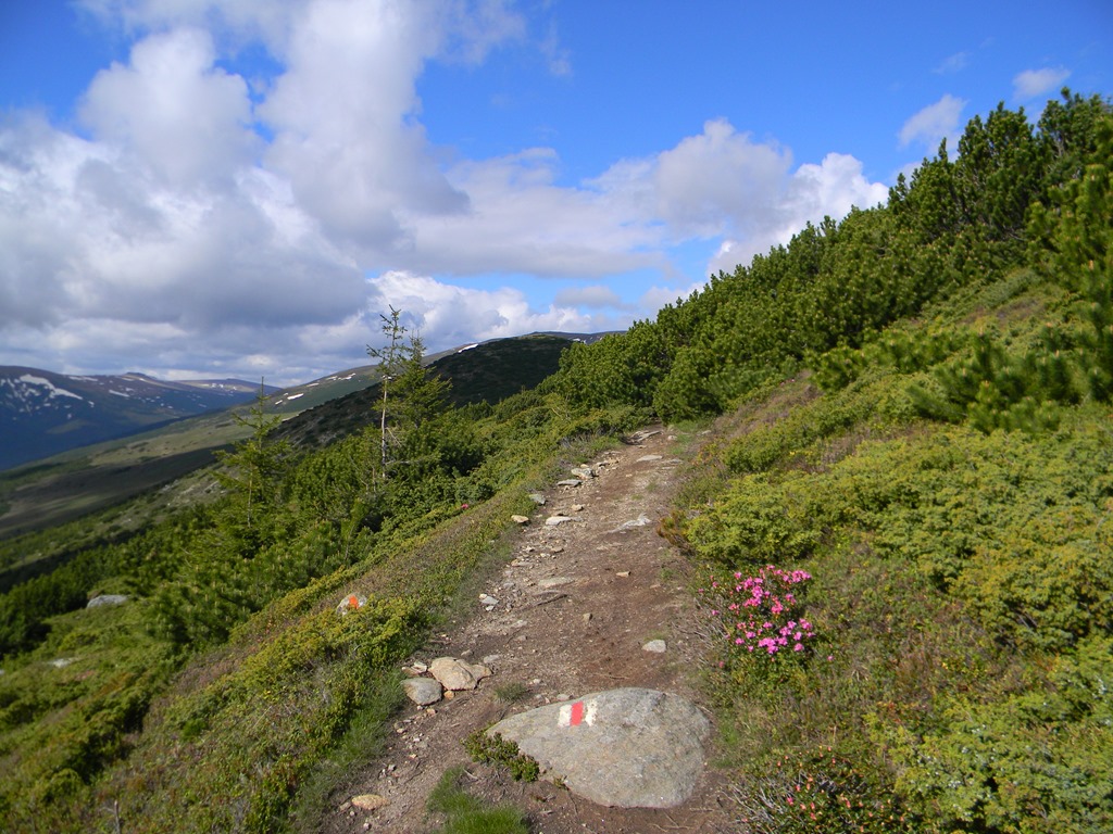 [DSCN02323.jpg]