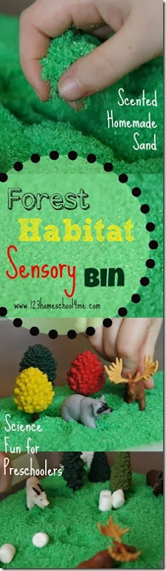 Forest Habitat Sensory bin to help toddler, preschool, kindergarten, and first grade learn about habitats in a fun, hands on and playful way (science) Forest Habitat Sensory bin to help toddler, preschool, kindergarten, and first grade learn about habitats in a fun, hands on and playful way (science)