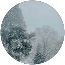 D Ram profile picture