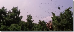 Godzilla GMK HD Baragon Scares Birds
