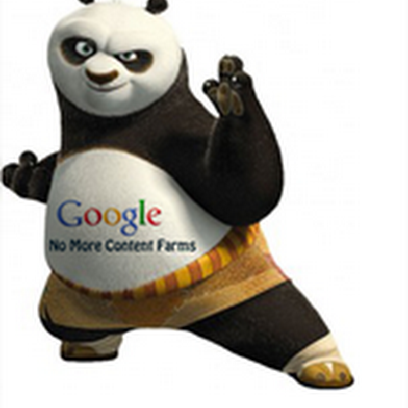 Comprendiendo Google Panda para tener un mejor rankeo