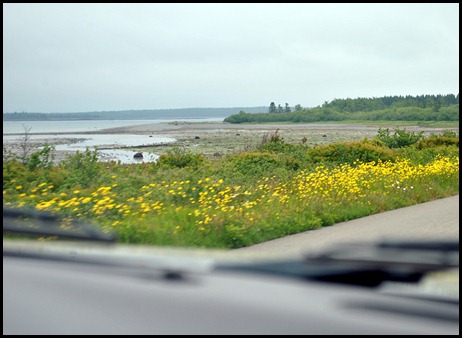13 - Drive to Quoddy Head State Park