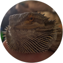 Dakota Manskes profile picture