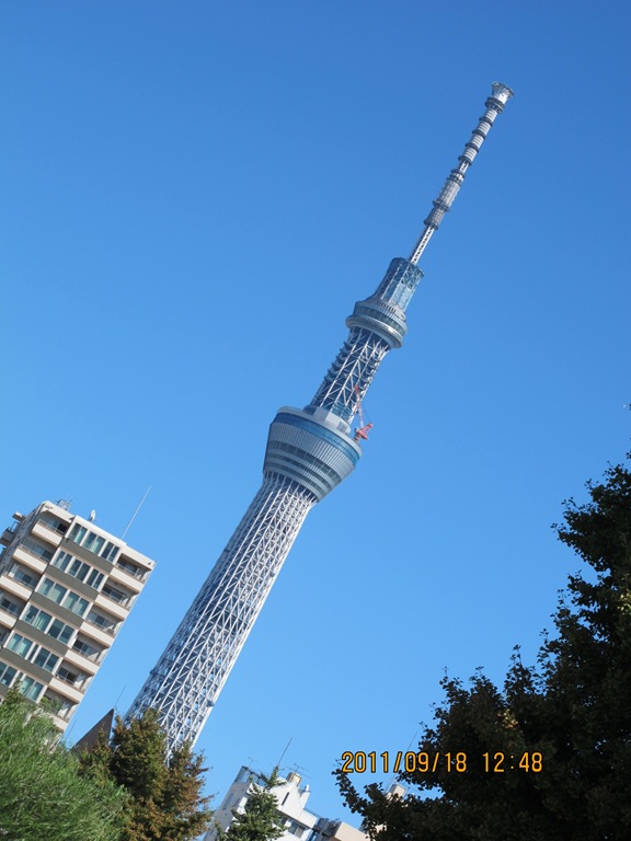 [201119180595.jpg]
