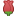 Rose symbol for Facebook Facebook rose symbol
