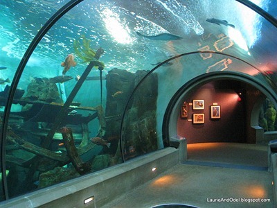 Tunnel at the Newport Aquarium