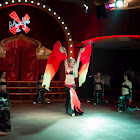 IMG_6920.jpg