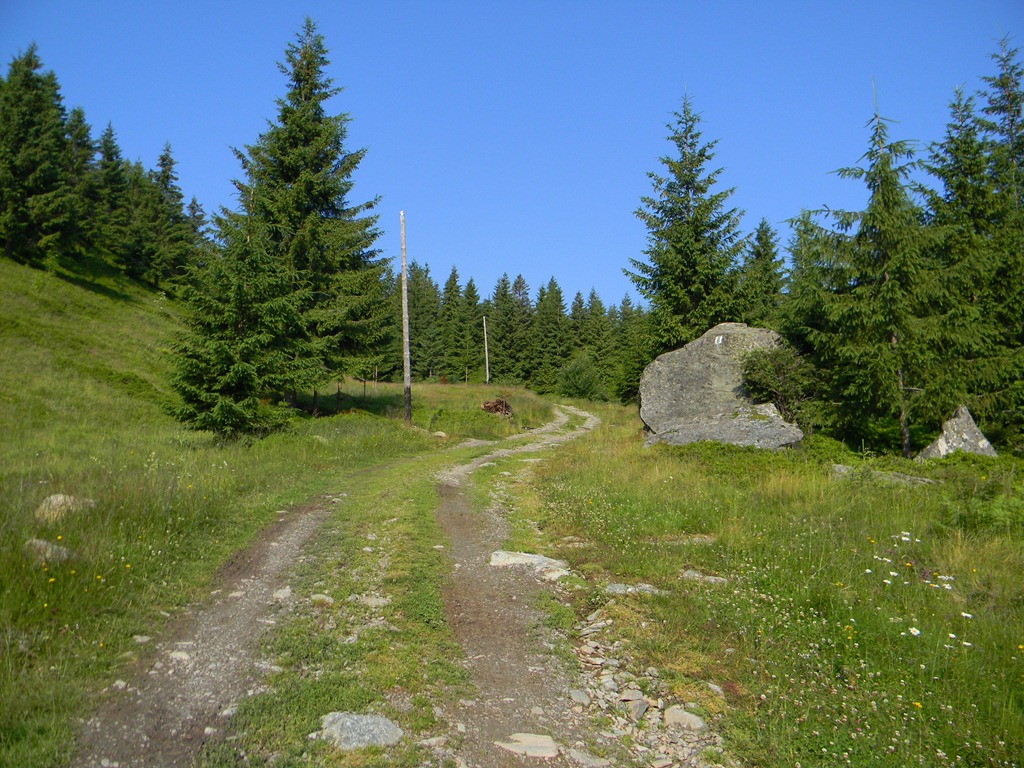 [DSCN76293.jpg]