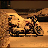 der erste richtige Schnee 2008