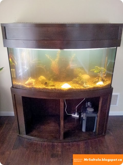 Completed stand and canopy with aquarium