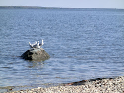 2013-06-17 Hecla Island - 029