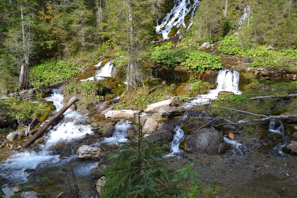 [DSC_026531.jpg]
