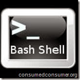 bash_shell