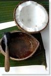 coconut oil-1