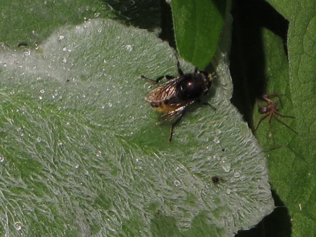 [IMG_1636%255B3%255D.jpg]