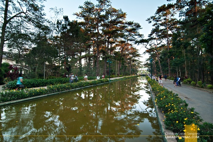 The Pool of Pines at Baguio City's Wright Park
