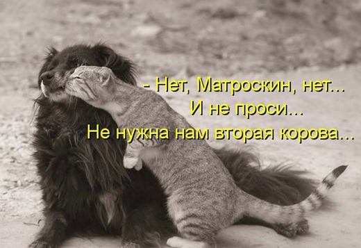 [kotomatritsa_63%255B3%255D.jpg]