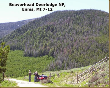 Beaverhead Deerlodge NF, Ennis, Mt 7-12