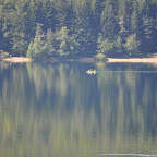 Lac d'Issarlès photo #510