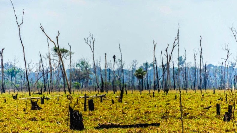 trans-amazonian-highway-76.jpg?imgmax=80