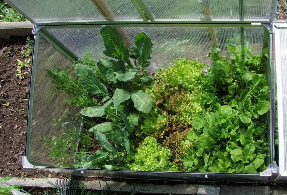 [DSCF3154_re%255B2%255D.jpg]