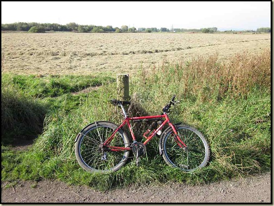 On the Trans Pennine Trail at Carrington Moss