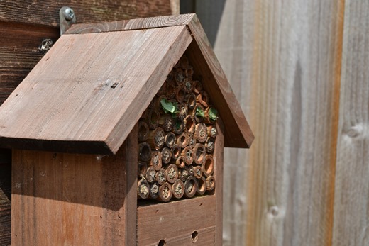 Insect house made from bamboo for bees