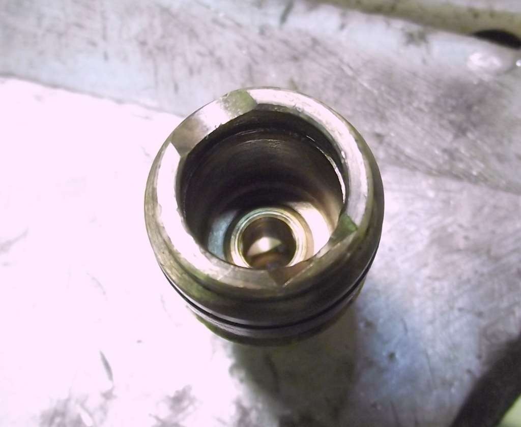 [110411502.jpg]
