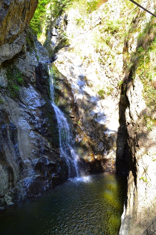 [DSC_78324.jpg]